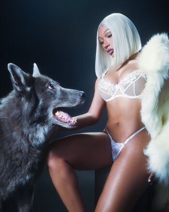 Full leaked Megan thee stallion  page private onlyfans photo