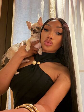 Full leaked Megan thee stallion  page private onlyfans photo