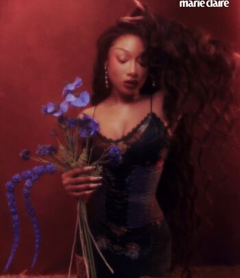 Full leaked Megan thee stallion private onlyfans photo